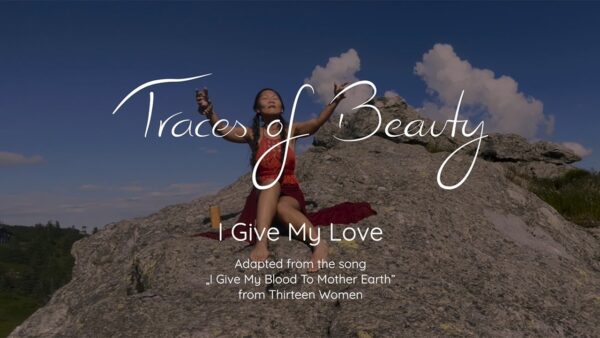 I Give My Love